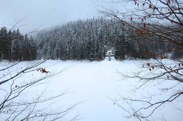 Фото Отель Goryanyn г. Пилипец 2