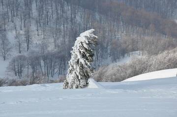 Фото Отель Goryanyn г. Пилипец 3